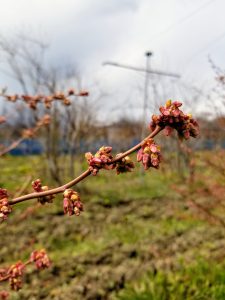 新元号発表を聞いて